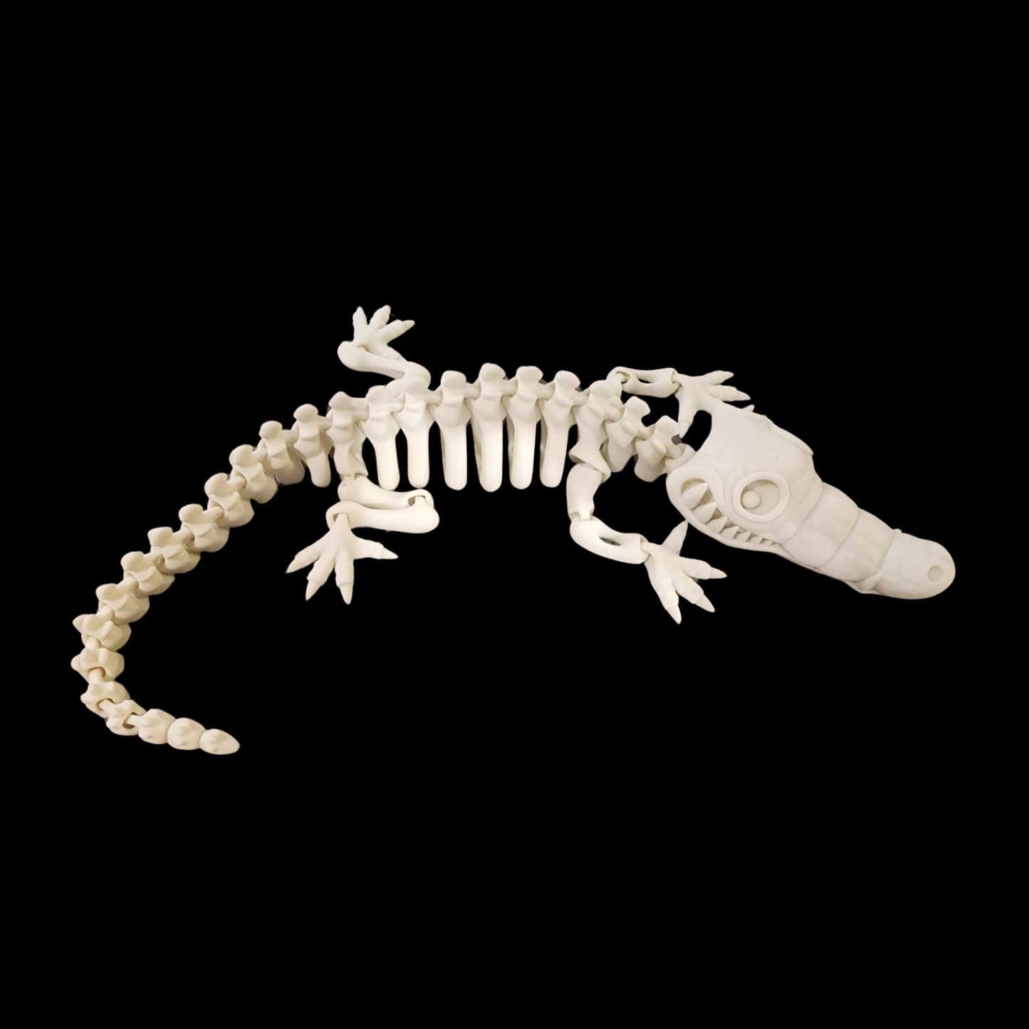 Gary The Gator Fidget toy