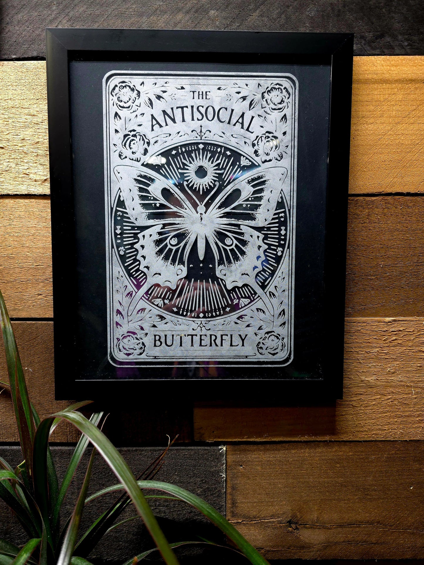 The Antisocial Butterfly Tarot Card Etched Glass